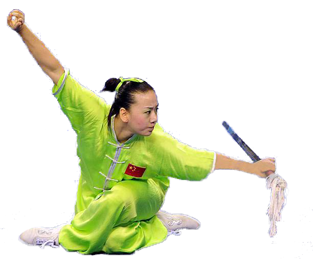 LE WUSHU